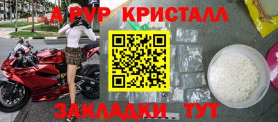 стафф Камышлов
