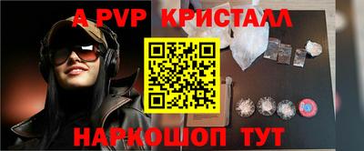 стафф Камышлов