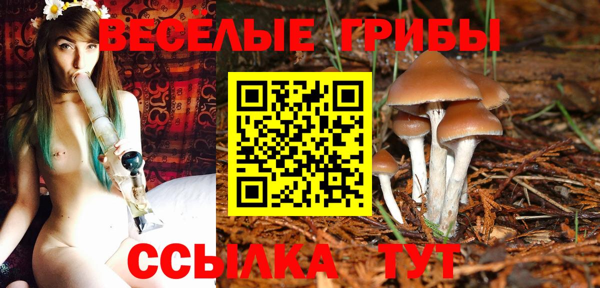 Галлюциногенные грибы Psilocybine cubensis  Галлюциногенные грибы Psilocybe  Вход с VPN  Кунгур 